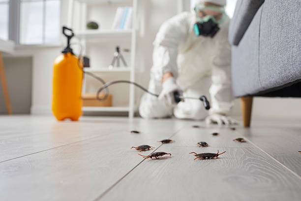 Commercial Kitchen Cockroach Control in Keowee Key